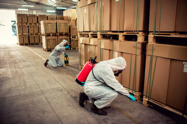 Best Affordable Pest Control Services  in Moody, AL