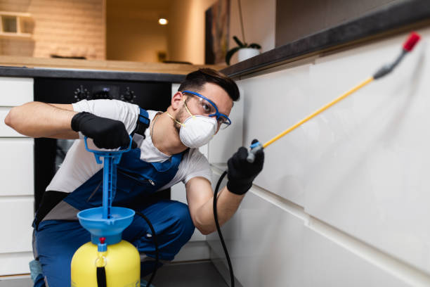 Best Cockroach Control Services  in Moody, AL