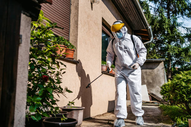 Professional Pest Control in Moody, AL