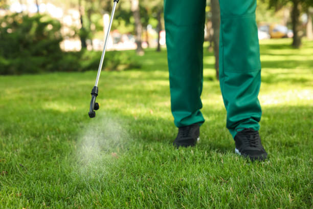 Best Flea Control Services  in Moody, AL