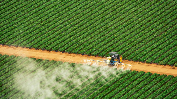 Best Pest Control for Restaurants  in Moody, AL