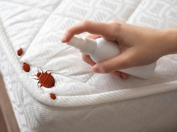 Best Pest Control Near Me  in Moody, AL